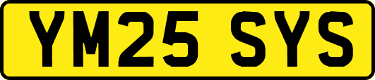 YM25SYS