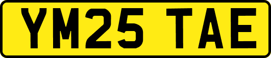 YM25TAE
