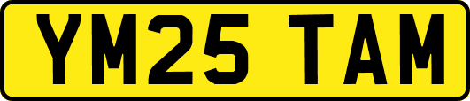 YM25TAM
