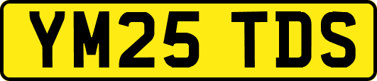 YM25TDS