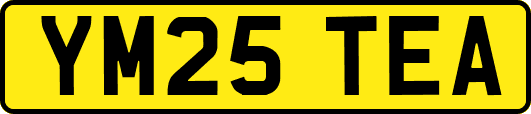 YM25TEA