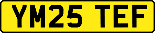YM25TEF