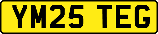 YM25TEG