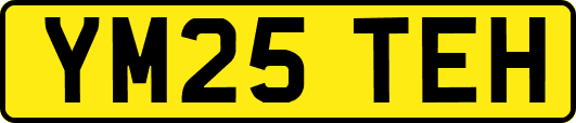 YM25TEH