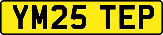 YM25TEP