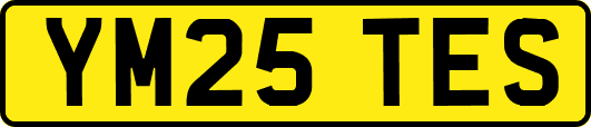 YM25TES