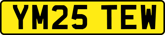 YM25TEW