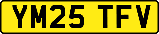 YM25TFV