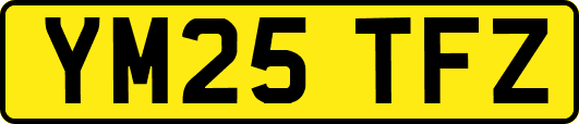 YM25TFZ