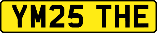 YM25THE