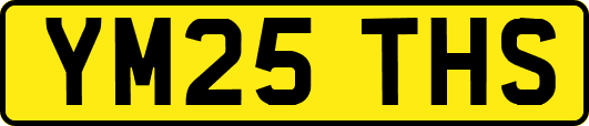 YM25THS