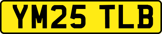 YM25TLB