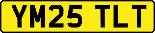 YM25TLT