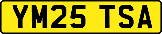 YM25TSA