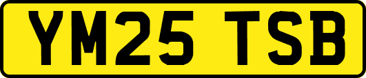 YM25TSB