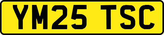 YM25TSC
