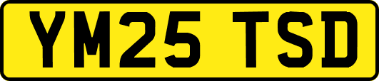 YM25TSD
