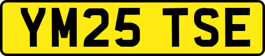 YM25TSE