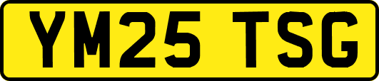 YM25TSG