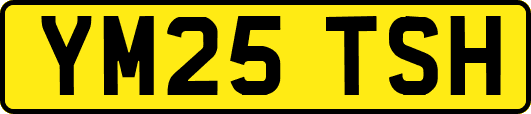YM25TSH