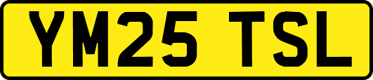 YM25TSL