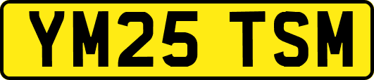 YM25TSM