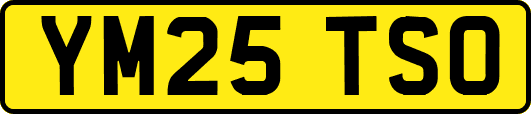YM25TSO