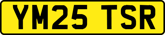 YM25TSR