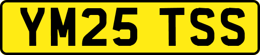 YM25TSS