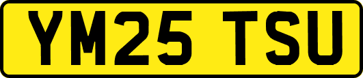 YM25TSU