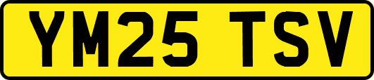 YM25TSV