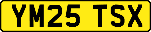 YM25TSX