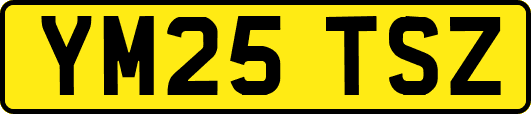 YM25TSZ