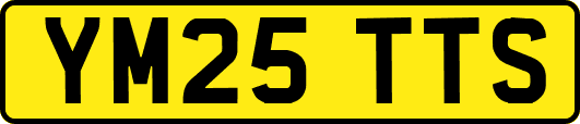 YM25TTS