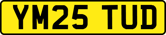 YM25TUD