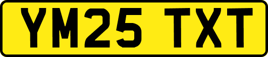YM25TXT