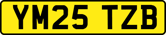 YM25TZB