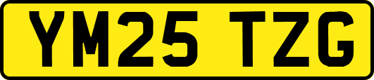 YM25TZG