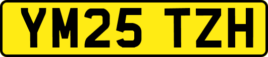 YM25TZH