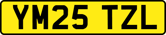 YM25TZL