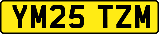 YM25TZM