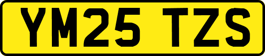 YM25TZS