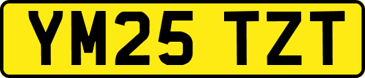 YM25TZT