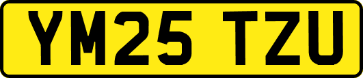 YM25TZU