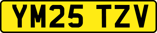 YM25TZV