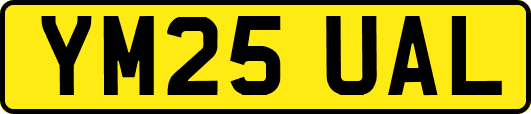 YM25UAL