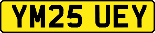 YM25UEY