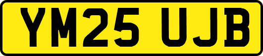 YM25UJB