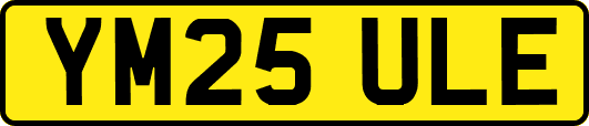 YM25ULE