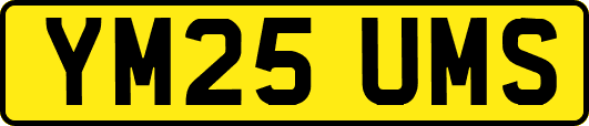 YM25UMS